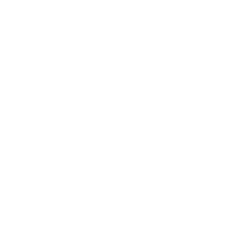 SEO Agency Kochi